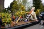 Thumbs/tn_Bloemencorso Noordwijkerhout 057.jpg